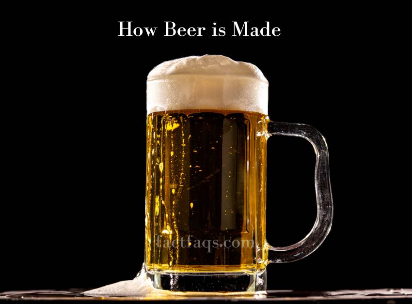 The Art And Science of Brewing How Beer is Made