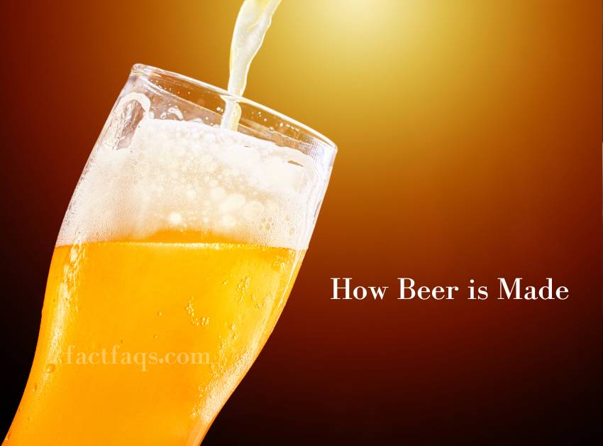 The Art And Science of Brewing How Beer is Made