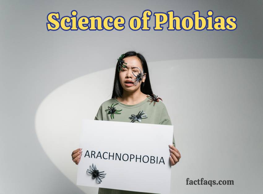 Science of Phobias