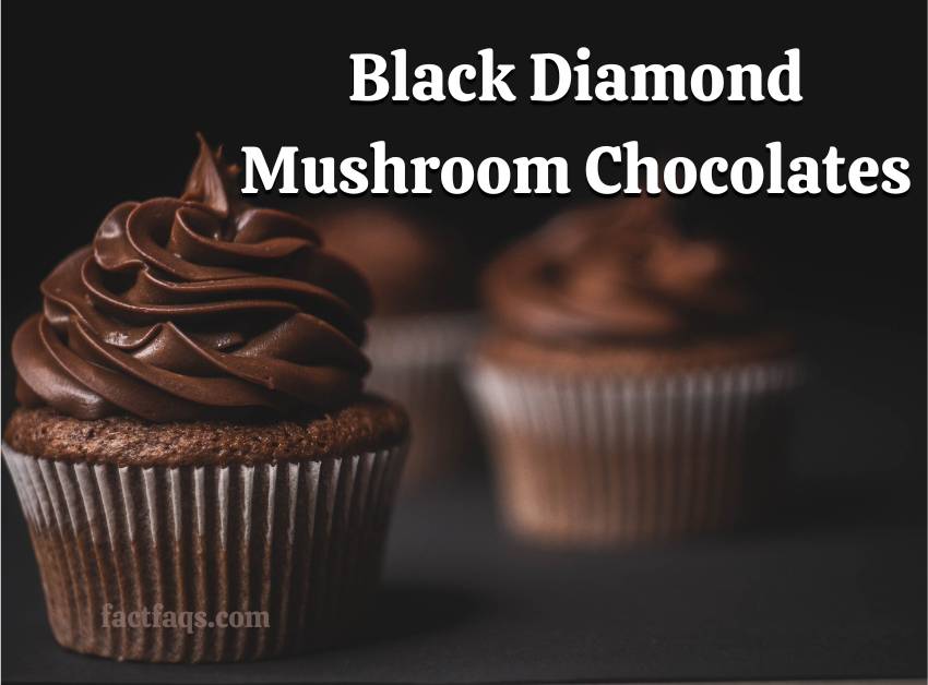 Black Diamond Mushroom Chocolates
