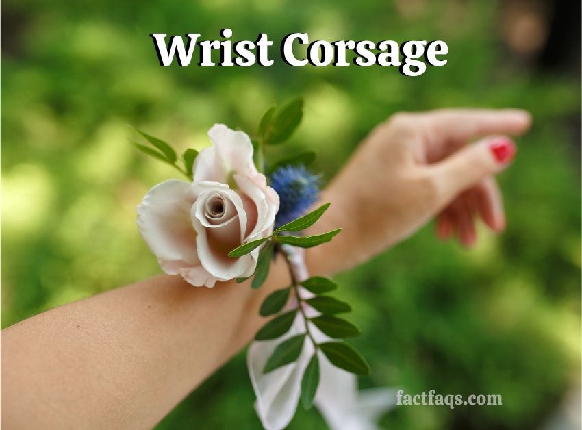 Wrist Corsage: Stunning Floral Accessories - FACT FAQs