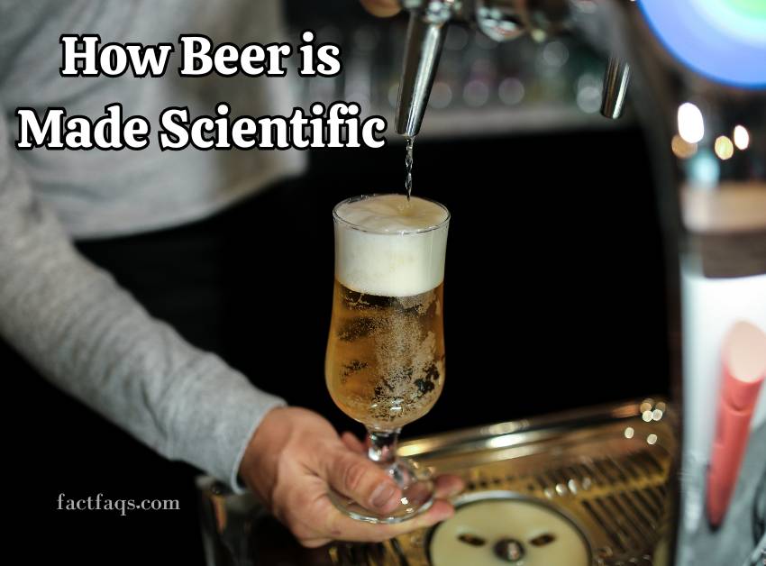 How Beer is Made Scientific