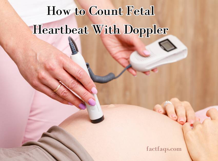 How to Count Fetal Heartbeat With Doppler